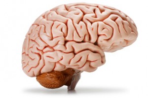New study shows brain loss tied to hearing loss